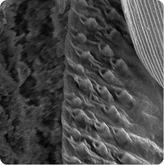 microscopic-analysis
